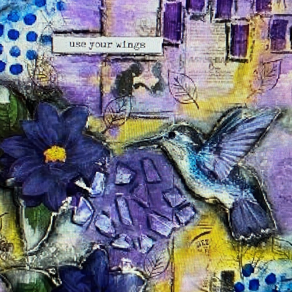 Meet your Posher, Elisa